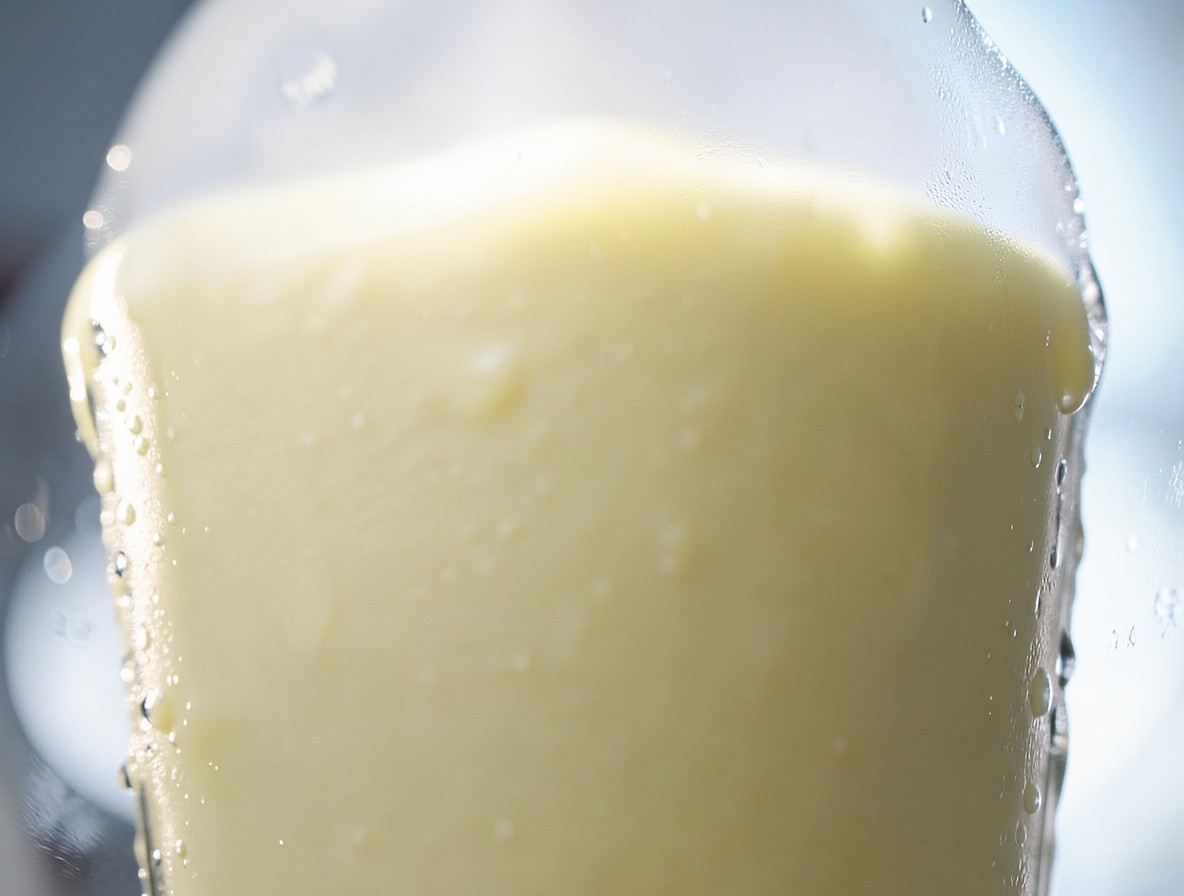Creamy piña colada mixture blending in a clear blender jar