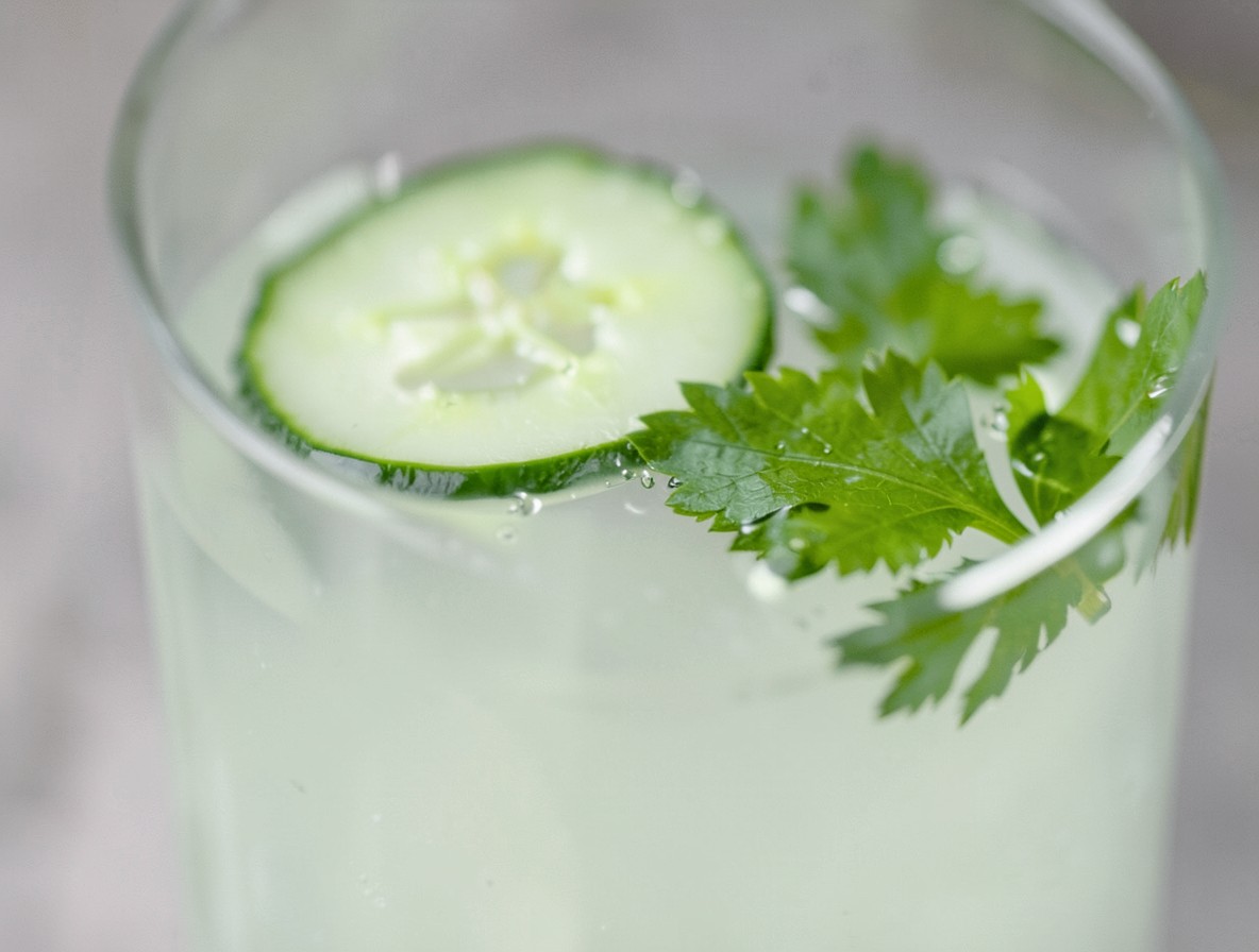 Finished Smoke Follows Beauty cocktail with cucumber and cilantro garnish in Nick & Nora glass